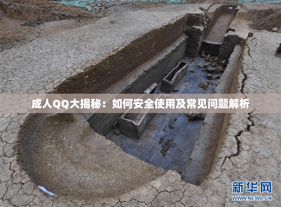 成人QQ大揭秘：如何安全使用及常见问题解析