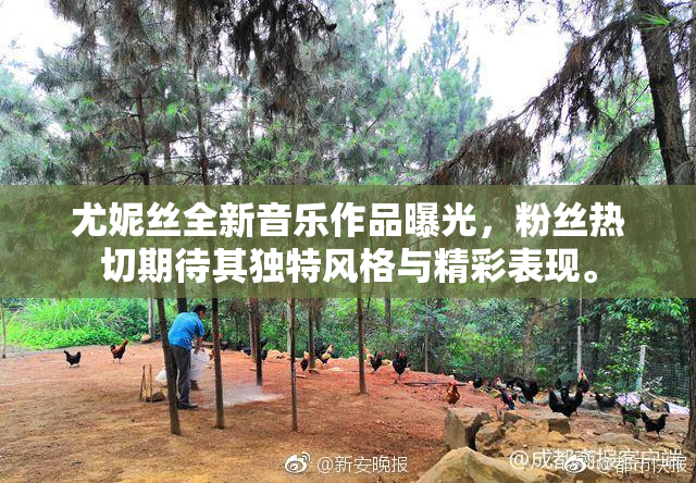 尤妮丝全新音乐作品曝光，粉丝热切期待其独特风格与精彩表现。