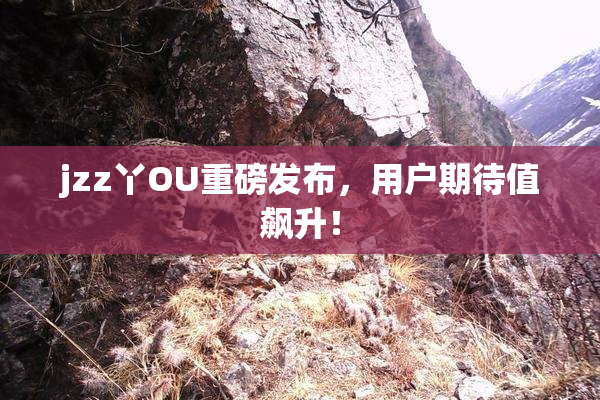 jzz丫OU重磅发布，用户期待值飙升！