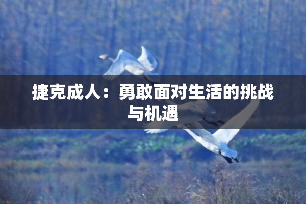 捷克成人：勇敢面对生活的挑战与机遇