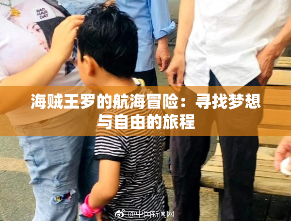 海贼王罗的航海冒险：寻找梦想与自由的旅程