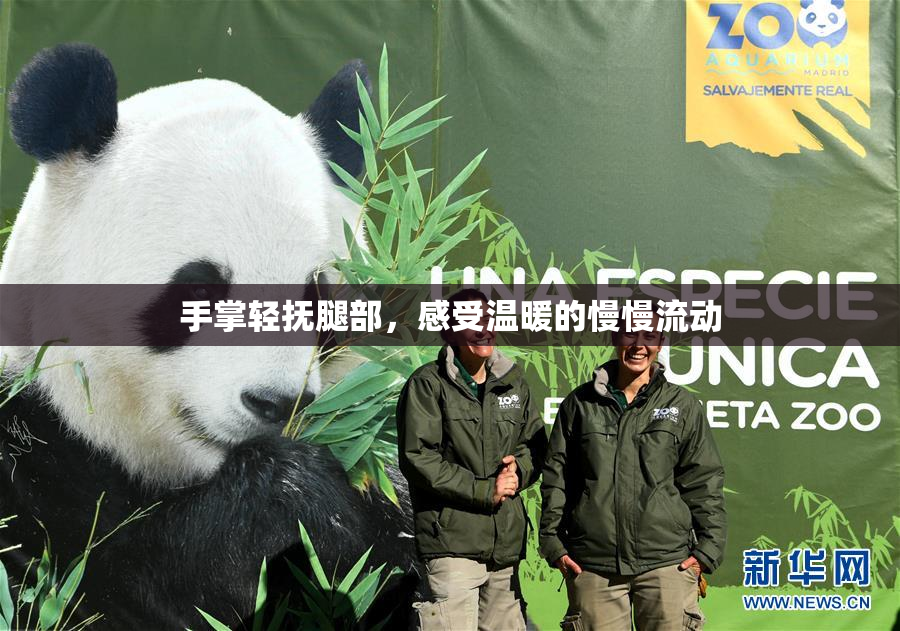 手掌轻抚腿部，感受温暖的慢慢流动
