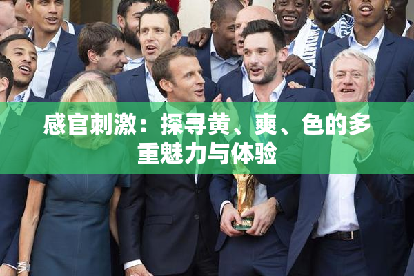 感官刺激：探寻黄、爽、色的多重魅力与体验