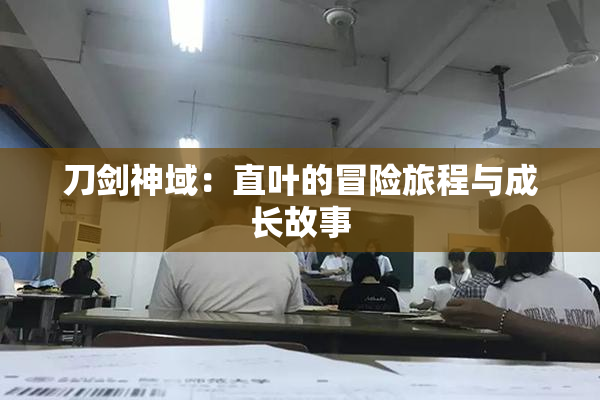 刀剑神域：直叶的冒险旅程与成长故事