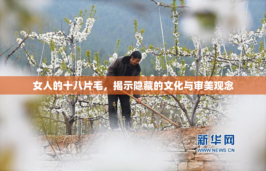 女人的十八片毛，揭示隐藏的文化与审美观念