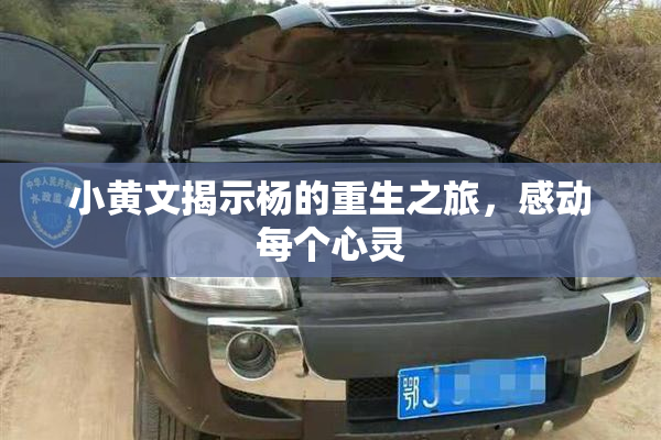 小黄文揭示杨的重生之旅，感动每个心灵