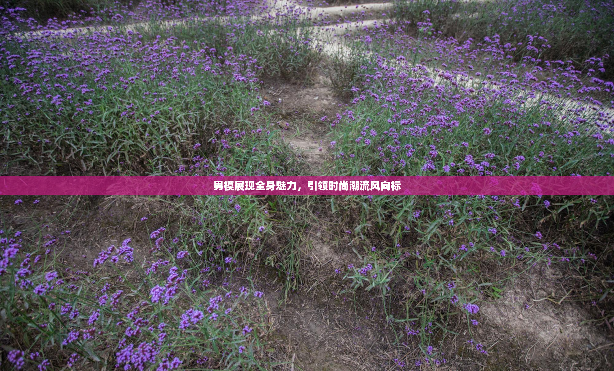 男模展现全身魅力，引领时尚潮流风向标
