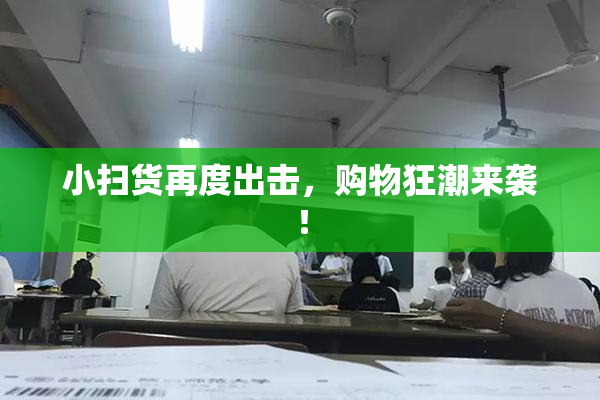 小扫货再度出击，购物狂潮来袭！