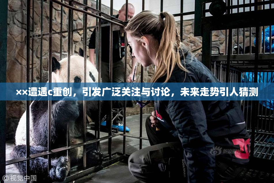 ××遭遇c重创，引发广泛关注与讨论，未来走势引人猜测