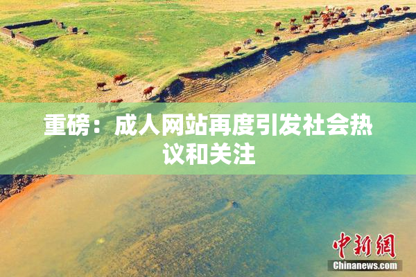 重磅：成人网站再度引发社会热议和关注