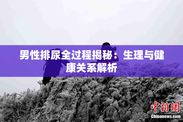 男性排尿全过程揭秘：生理与健康关系解析