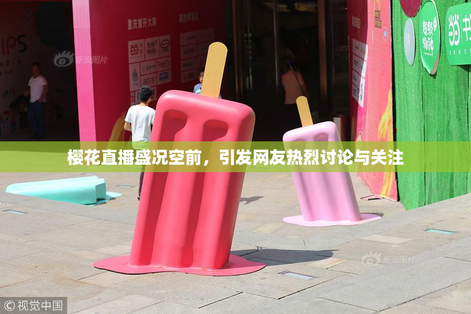 樱花直播盛况空前，引发网友热烈讨论与关注