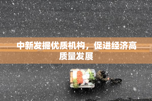中新发掘优质机构，促进经济高质量发展