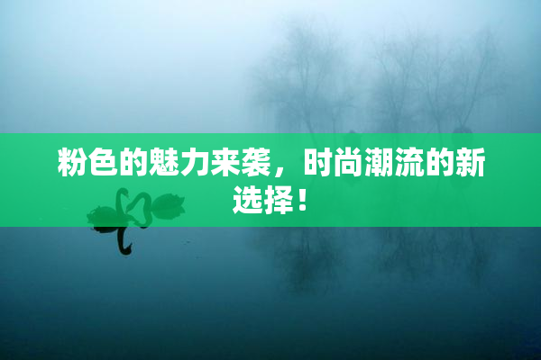 粉色的魅力来袭，时尚潮流的新选择！
