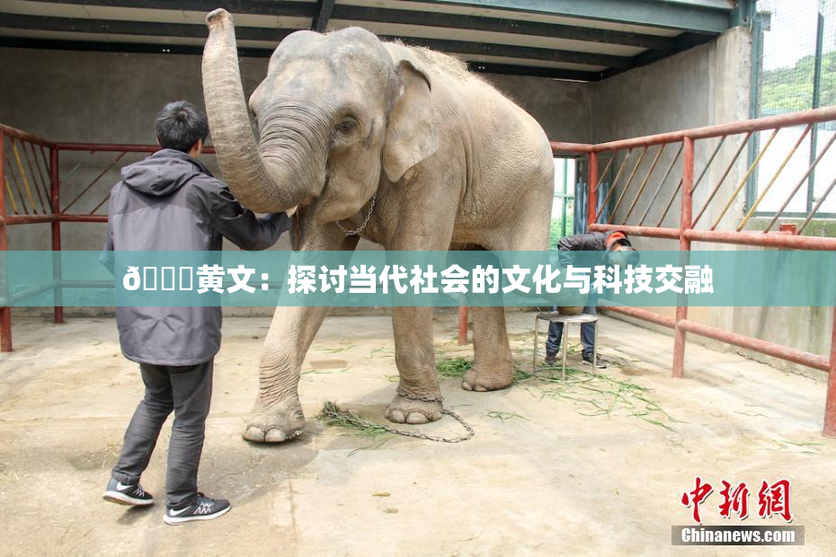🔞黄文：探讨当代社会的文化与科技交融