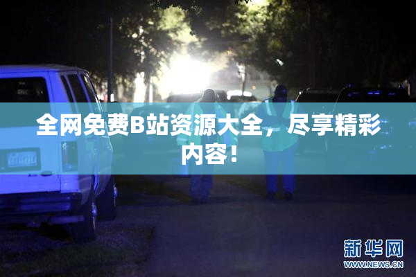 全网免费B站资源大全，尽享精彩内容！
