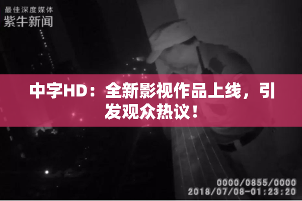 中字HD：全新影视作品上线，引发观众热议！