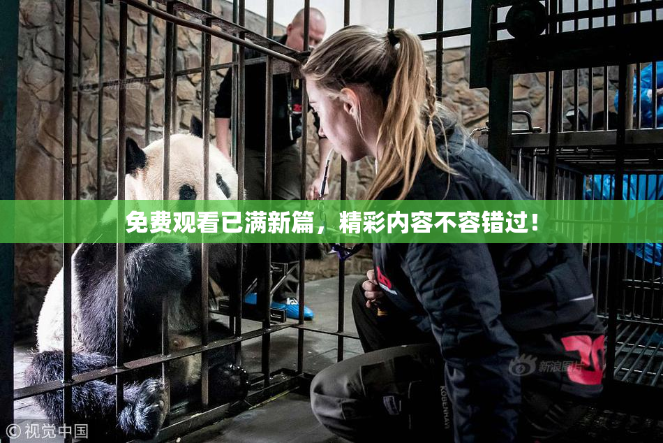 免费观看已满新篇，精彩内容不容错过！