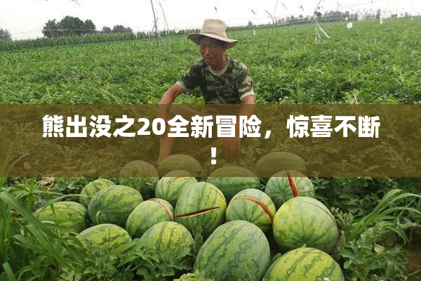 熊出没之20全新冒险，惊喜不断！