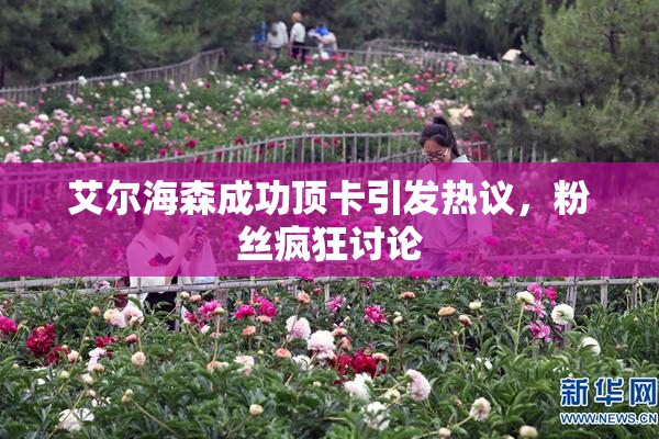 艾尔海森成功顶卡引发热议，粉丝疯狂讨论