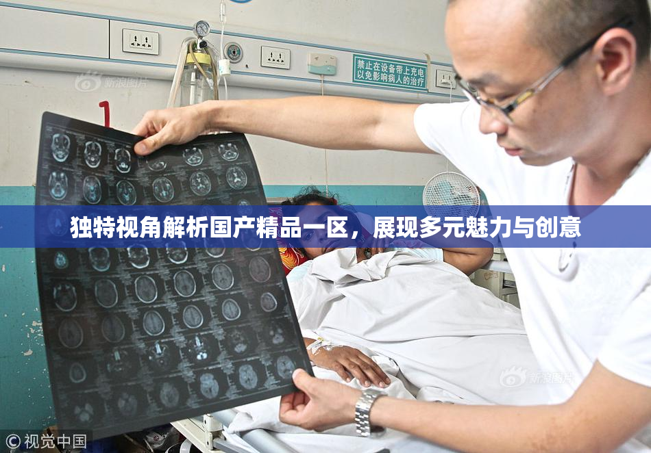 独特视角解析国产精品一区，展现多元魅力与创意