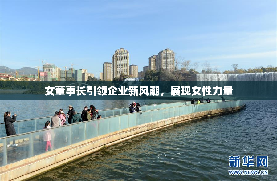 女董事长引领企业新风潮，展现女性力量