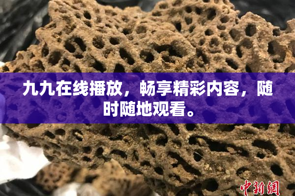 九九在线播放，畅享精彩内容，随时随地观看。