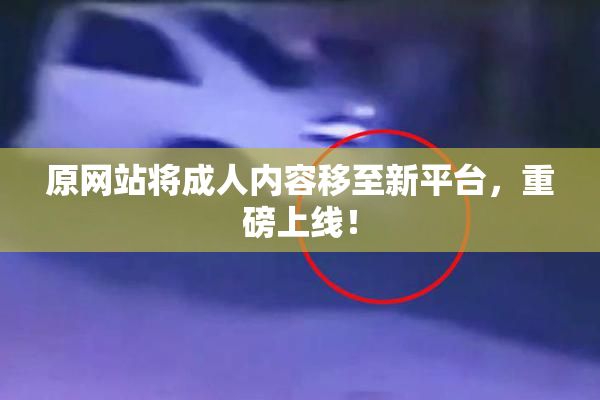 原网站将成人内容移至新平台，重磅上线！