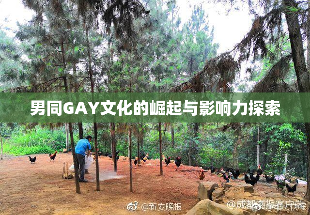 男同GAY文化的崛起与影响力探索