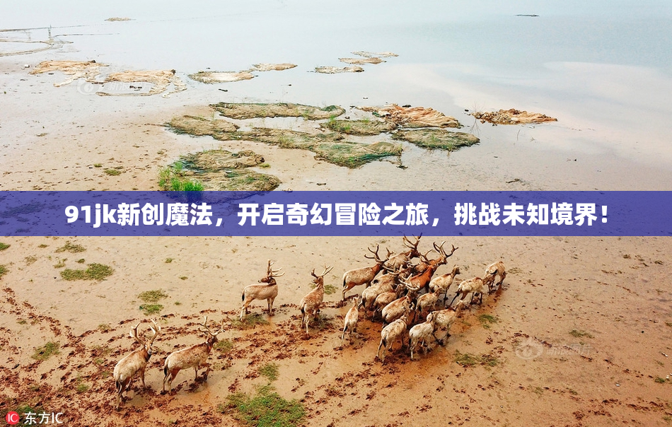91jk新创魔法，开启奇幻冒险之旅，挑战未知境界！