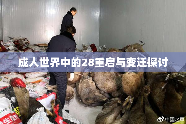 成人世界中的28重启与变迁探讨