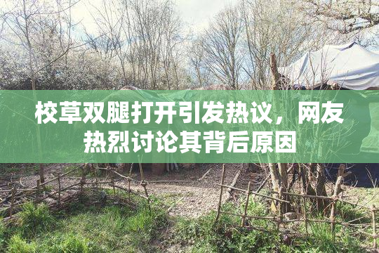 校草双腿打开引发热议，网友热烈讨论其背后原因