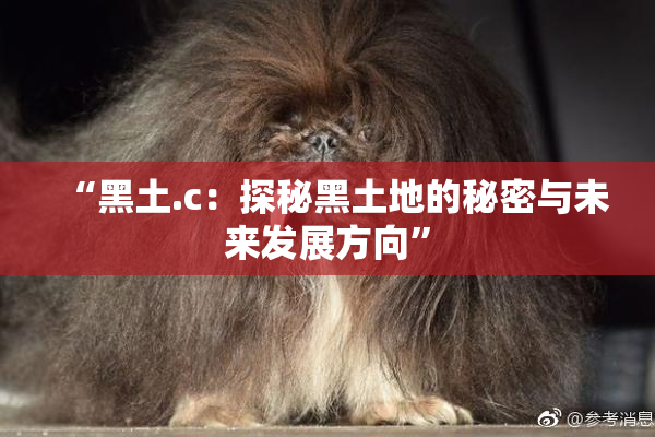 “黑土.c：探秘黑土地的秘密与未来发展方向”