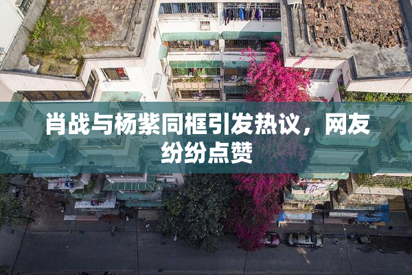 肖战与杨紫同框引发热议，网友纷纷点赞