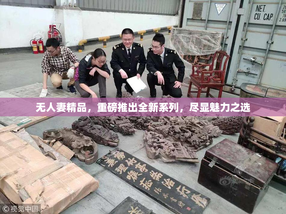 无人妻精品，重磅推出全新系列，尽显魅力之选