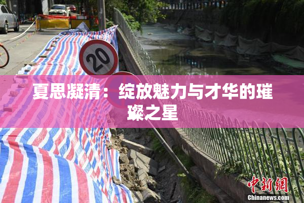 夏思凝清：绽放魅力与才华的璀璨之星