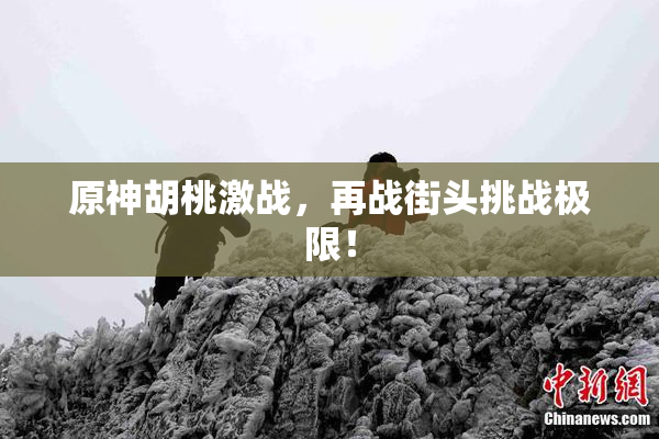 原神胡桃激战，再战街头挑战极限！