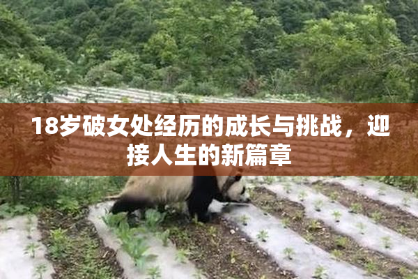 18岁破女处经历的成长与挑战，迎接人生的新篇章