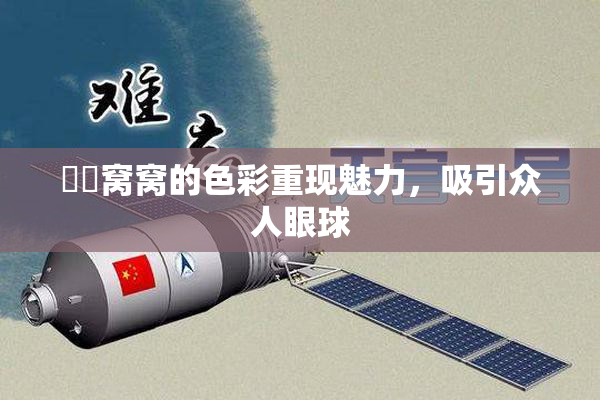 妺妺窝窝的色彩重现魅力，吸引众人眼球