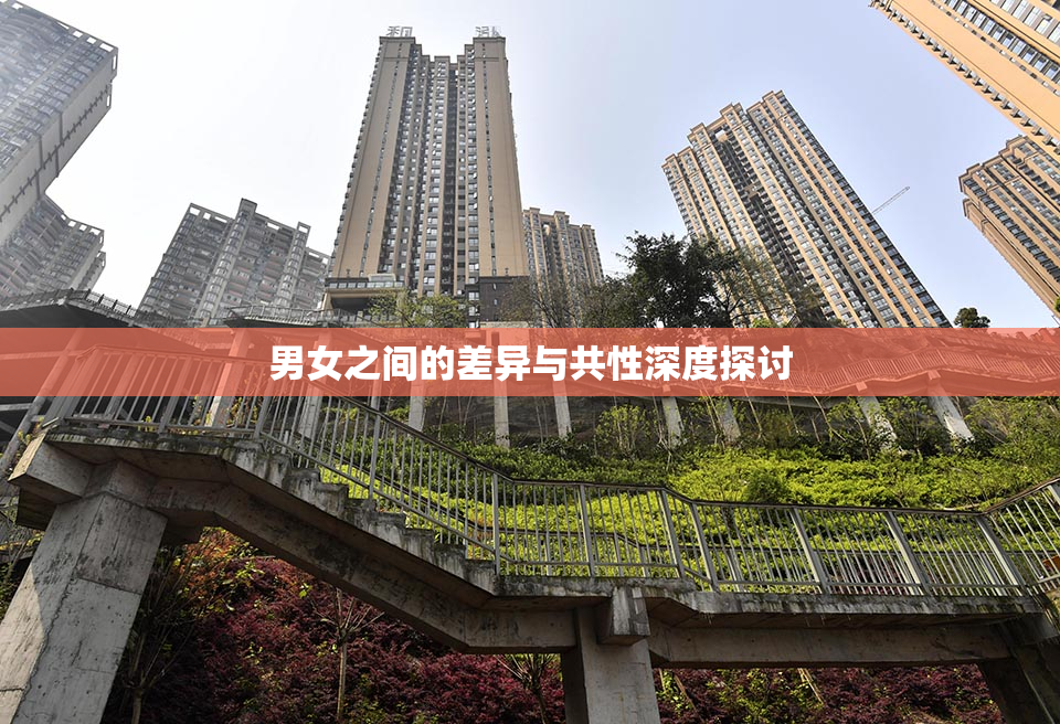 男女之间的差异与共性深度探讨