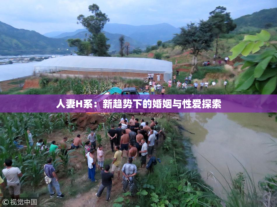 人妻H系：新趋势下的婚姻与性爱探索