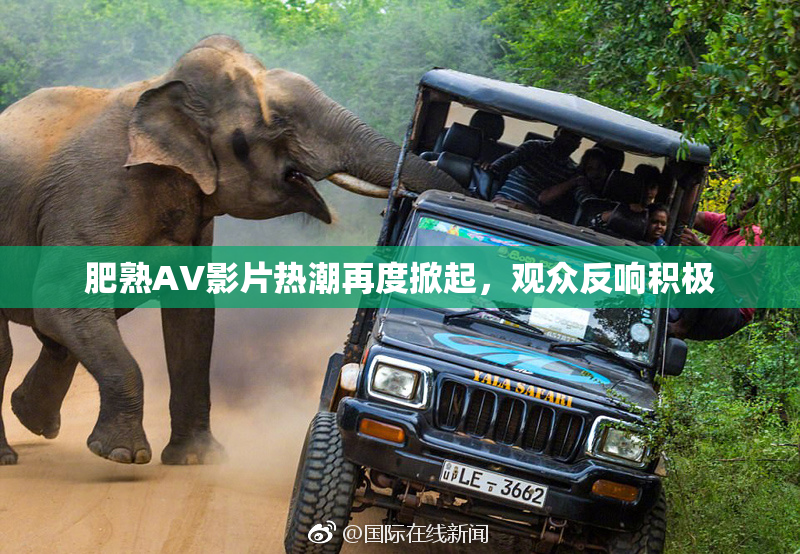 肥熟AV影片热潮再度掀起，观众反响积极