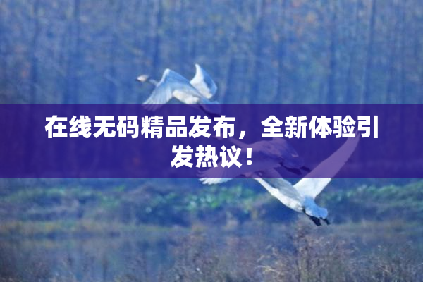在线无码精品发布，全新体验引发热议！