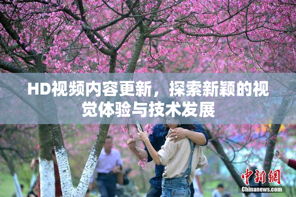 HD视频内容更新，探索新颖的视觉体验与技术发展