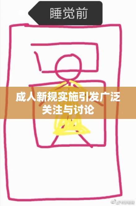 成人新规实施引发广泛关注与讨论