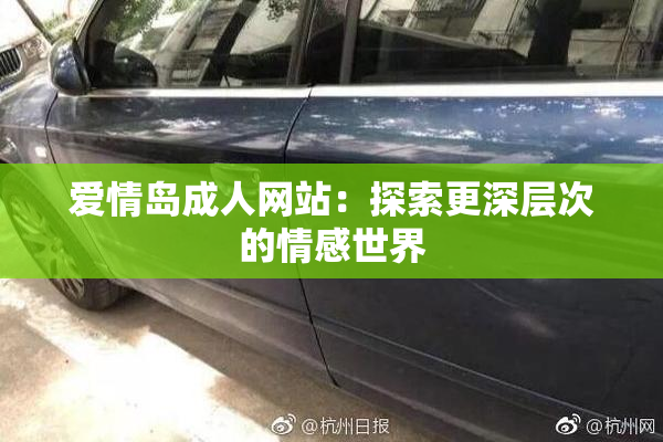 爱情岛成人网站：探索更深层次的情感世界