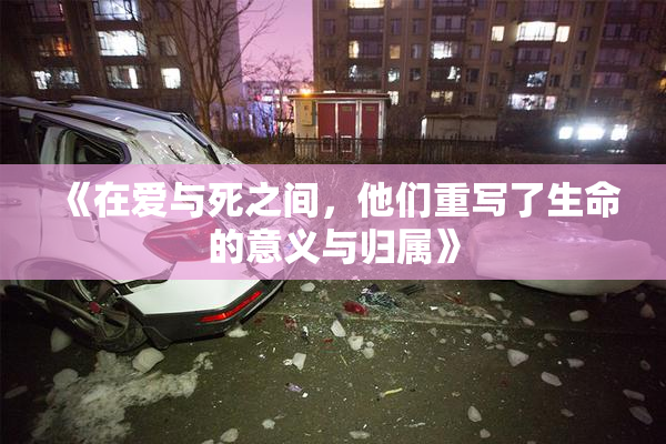 《在爱与死之间，他们重写了生命的意义与归属》