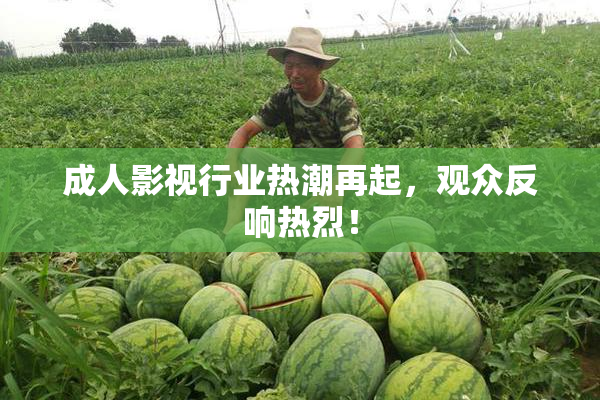 成人影视行业热潮再起，观众反响热烈！