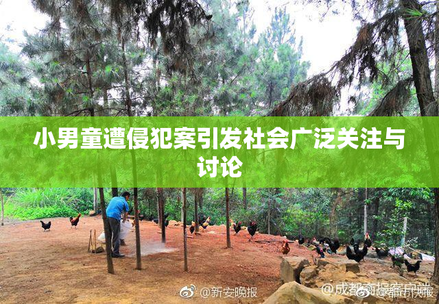 小男童遭侵犯案引发社会广泛关注与讨论