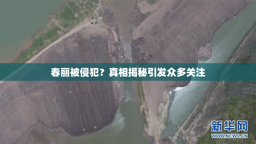 春丽被侵犯？真相揭秘引发众多关注